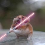 Star Wars hamster meme