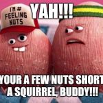 nuts short  | YAH!!! YOUR A FEW NUTS SHORT A SQUIRREL, BUDDY!!! | image tagged in nuts short | made w/ Imgflip meme maker