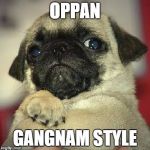 funny pug | OPPAN GANGNAM STYLE | image tagged in funny pug,gangnam style | made w/ Imgflip meme maker