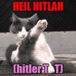 Karate Cat | HEIL HITLAH (hitler T_T) | image tagged in karate cat | made w/ Imgflip meme maker