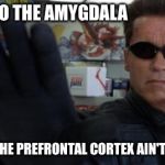 Talk to the hand! | TALK TO THE AMYGDALA 'CAUSE THE PREFRONTAL CORTEX AIN'T LISTENIN' | image tagged in talk to the hand | made w/ Imgflip meme maker