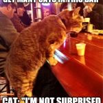 cat bar drinking | BARTENDER: "WE DON'T GET MANY CATS IN THIS BAR" CAT: "I'M NOT SURPRISED WITH THESE PRICES" | image tagged in cat bar drinking | made w/ Imgflip meme maker