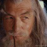 Wise Gandalf