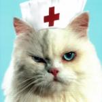 Grumpy OR nurse