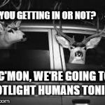 If the Roles Were Reversed | ARE YOU GETTING IN OR NOT? C'MON, WE'RE GOING TO SPOTLIGHT HUMANS TONIGHT! | image tagged in have no time to explain,deer | made w/ Imgflip meme maker