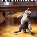 Like a Boss Kitty  | I HAD DIARRHEA IN THE LITTER BOX LIKE A BOSS | image tagged in like a boss kitty | made w/ Imgflip meme maker