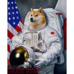 Doge Astronaut meme