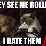 Grumpy Cat Driving | THEY SEE ME ROLLING I HATE THEM | image tagged in grumpy cat driving,grumpy cat | made w/ Imgflip meme maker