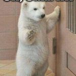oh never mind polar bear | OH, UM... HI! HOPE ALL IS WELL | image tagged in oh never mind polar bear | made w/ Imgflip meme maker
