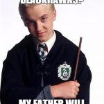 draco malfoy | YOU HATE THE BLACKHAWKS? MY FATHER WILL HEAR ABOUT THIS | image tagged in draco malfoy | made w/ Imgflip meme maker
