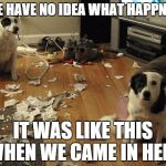 guiltydogs | WE HAVE NO IDEA WHAT HAPPNED IT WAS LIKE THIS WHEN WE CAME IN HERE | image tagged in guiltydogs | made w/ Imgflip meme maker