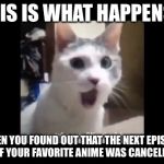 OMG | THIS IS WHAT HAPPENS... WHEN YOU FOUND OUT THAT THE NEXT EPISODE OF YOUR FAVORITE ANIME WAS CANCELED | image tagged in omg,anime | made w/ Imgflip meme maker