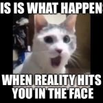 OMG | THIS IS WHAT HAPPENS... WHEN REALITY HITS YOU IN THE FACE | image tagged in omg | made w/ Imgflip meme maker