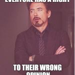 Everyone else's opinion | EVERYONE HAS A RIGHT TO THEIR WRONG OPINION | image tagged in opinion | made w/ Imgflip meme maker