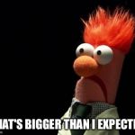 muppets | THAT'S BIGGER THAN I EXPECTED | image tagged in muppets | made w/ Imgflip meme maker