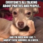 CondescendingChihuahua | EVERYONE'S ALL TALKING ABOUT PARTIES AND PEOPLE... ... AND I'M OVER HERE LIKE, 'I HAVEN'T SEEN SQUIRREL IN A WEEK...' | image tagged in condescendingchihuahua | made w/ Imgflip meme maker