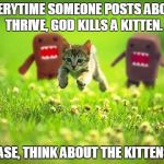 Kittens | EVERYTIME SOMEONE POSTS ABOUT THRIVE, GOD KILLS A KITTEN. PLEASE, THINK ABOUT THE KITTENS!!!! | image tagged in kittens | made w/ Imgflip meme maker