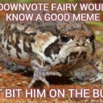 Wait, Do Toads Bite? | THE DOWNVOTE FAIRY WOULDN'T KNOW A GOOD MEME IF IT BIT HIM ON THE BUTT! | image tagged in memes,grumpy toad | made w/ Imgflip meme maker