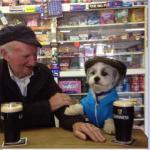 Irish Dog Pub meme