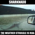 Sharknado | SHARKNADO THE WEATHER STRUGGLE IS REAL | image tagged in sharknado | made w/ Imgflip meme maker