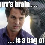 Bag of Cats | That guy's brain . . . . . . is a bag of cats. | image tagged in bruce banner,bag of cats | made w/ Imgflip meme maker