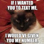 Angry Cat | IF I WANTED YOU TO TEXT ME, I WOULD'VE GIVEN YOU MY NUMBER. | image tagged in angry cat | made w/ Imgflip meme maker