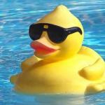 Cool as Duck