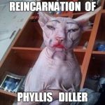 Phyllis   Diller | REINCARNATION  OF PHYLLIS   DILLER | image tagged in hairless cat in make-up,funny | made w/ Imgflip meme maker