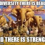 animals | IN DIVERSITY THERE IS BEAUTY AND THERE IS STRENGTH | image tagged in animals | made w/ Imgflip meme maker