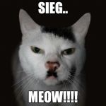 el gato hitler | SIEG.. MEOW!!!! | image tagged in el gato hitler | made w/ Imgflip meme maker