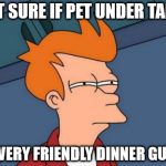 NOT SURE IF PET UNDER TABLE OR VERY FRIENDLY DINNER GUEST | image tagged in memes,futurama fry | made w/ Imgflip meme maker