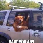 dog in a car | PARDON ME HAVE YOU ANY GREY POOP ON? | image tagged in dog in a car | made w/ Imgflip meme maker