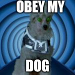 obey my dog | OBEY MY DOG | image tagged in obey my dog | made w/ Imgflip meme maker