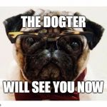 Pug With Glasses and Bowtie | THE DOGTER WILL SEE YOU NOW | image tagged in pug with glasses and bowtie,puns | made w/ Imgflip meme maker