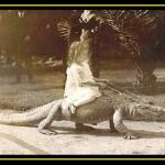 Girl Riding Alligator