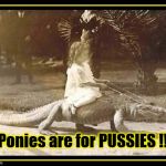 Girl Riding Alligator | Ponies are for PUSSIES !!! | image tagged in girl riding alligator | made w/ Imgflip meme maker