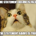 RIP brain | THE STATEMENT BELOW IS FALSE THE STATEMENT ABOVE IS TRUE | image tagged in omg kitty | made w/ Imgflip meme maker