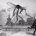 Mosquito Attack | MEANWHILE IN TEXAS... | image tagged in mosquito attack | made w/ Imgflip meme maker
