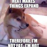 Flirting Doge | HEAT MAKES THINGS EXPAND THEREFORE, I'M NOT FAT- I'M HOT. | image tagged in flirting doge | made w/ Imgflip meme maker