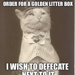 The Golden Litter Box | JENKINS, PREPARE A PURCHASE ORDER FOR A GOLDEN LITTER BOX I WISH TO DEFECATE NEXT TO IT | image tagged in jenkins cat,cat,business cat | made w/ Imgflip meme maker