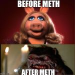 Meth | BEFORE METH AFTER METH | image tagged in miss piggy,funny memes,funny,triple pass comedy,oblivious hot girl | made w/ Imgflip meme maker