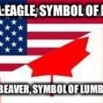 America VS Canada | AMERICA:EAGLE, SYMBOL OF FREEDOM CANADA:BEAVER, SYMBOL OF LUMBERJACKS | image tagged in america vs canada | made w/ Imgflip meme maker