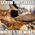 Wine Cat | SCREW THE COFFEE! WHERE'S THE WINE... | image tagged in wine cat | made w/ Imgflip meme maker