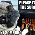 Pug BBQ | PLEASE TAKE THE SURVEY I WANT SOME BBQ | image tagged in pug bbq | made w/ Imgflip meme maker