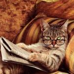 Reading Cat with Glasses meme