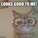 Funny Cat with Glasses | LOOKS GOOD TO ME! | image tagged in funny cat with glasses | made w/ Imgflip meme maker