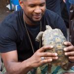 Usher turtle 