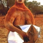 Kangaroo Crushing tin bucket | THIS IS HOW YOU CRUSH AN AUSTRALIAN BEER CAN | image tagged in kangaroo crushing tin bucket | made w/ Imgflip meme maker