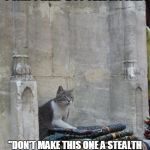 Khajiit like to sneak | WHENEVER I PLAY AN RPG, I CAN'T HELP BUT TELL MYSELF: "DON'T MAKE THIS ONE A STEALTH CHARACTER, DON'T MAKE THIS ONE A STEALTH CHARACTER..." | image tagged in khajiit,thief,stealth,rpg,video games | made w/ Imgflip meme maker