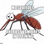 cute mosquito | MOSQUITOES ARE JUST VAMPIRES IN TRAINING | image tagged in cute mosquito | made w/ Imgflip meme maker